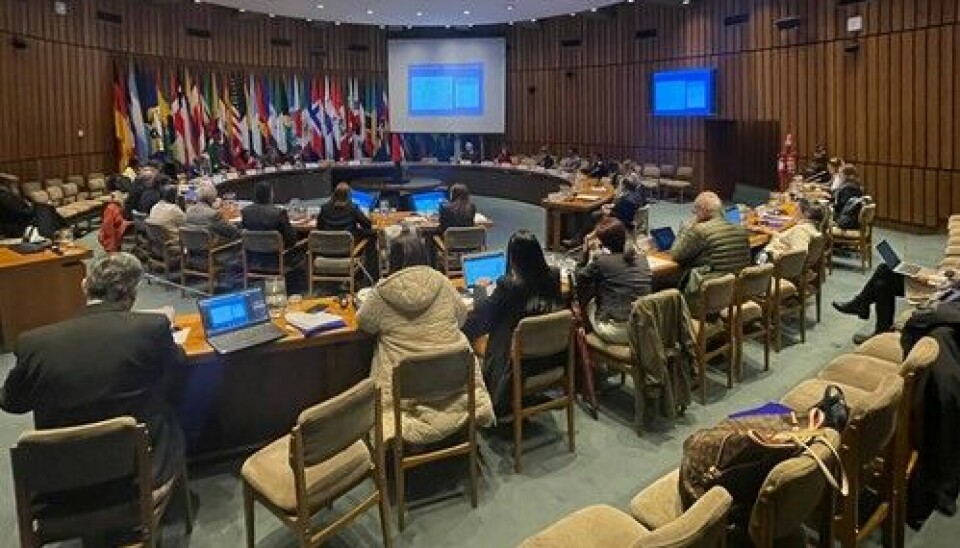 En el encuentro internacional participaron más de 200 personas, a lo largo de tres días de exposiciones y diálogo.