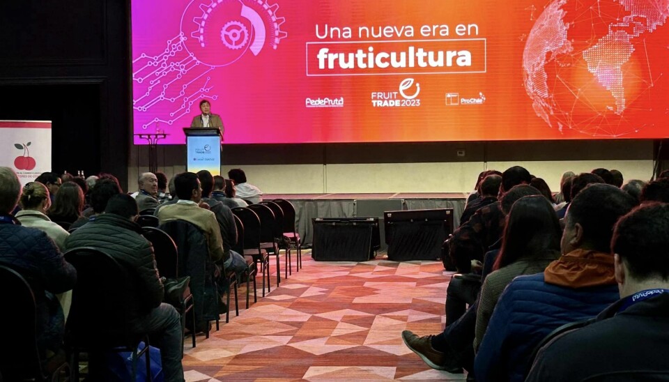 El encuentro es organizado por Fedefruta y cuenta con el apoyo de ProChile.