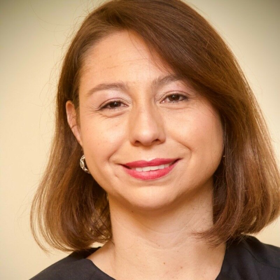 Daniella De Luca plantea que puertos extranjeros colaboran con Chile para transferencia de conocimiento en cuanto al hidrógeno verde en los terminales.