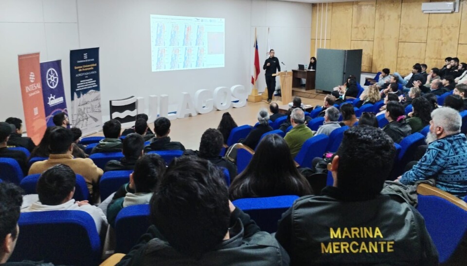Representantes de distintos sectores participaron en el encuentro que busca, entre otros objetivos, prevenir las colisiones entre embarcaciones y mamíferos marinos.