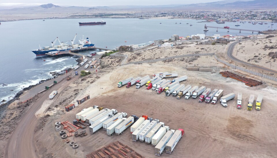 En Caldera se preparan para un período de exportación durante el cual atenderán alrededor de 15 naves, que transportarán al comercio exterior más de 68 mil toneladas de fruta chilena para el mundo.