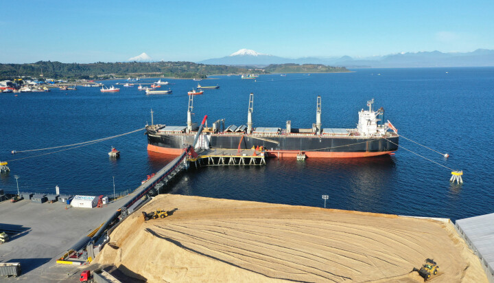 La exhibición se realizará del 19 al 21 de marzo en las instalaciones de TMP, ubicadas en el sector de Chinquihue, Puerto Montt.