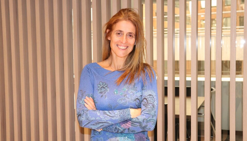 El mercado chino es el principal mercado de destino para nuestra cereza.