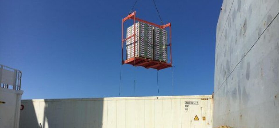 El Puerto de Caldera terminó su trabajo de exportación de frutas para la temporada.