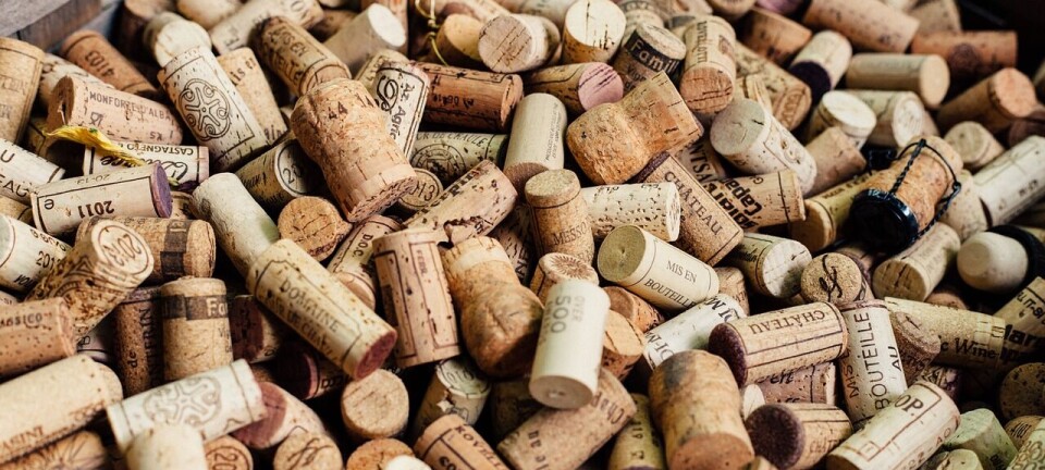 Los vinos sumaron ventas por 255,4 millones de dólares con un alza de 12%.