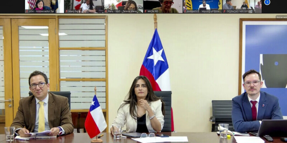 La subsecretaria de Relaciones Económicas Internacionales participó en la reunión.