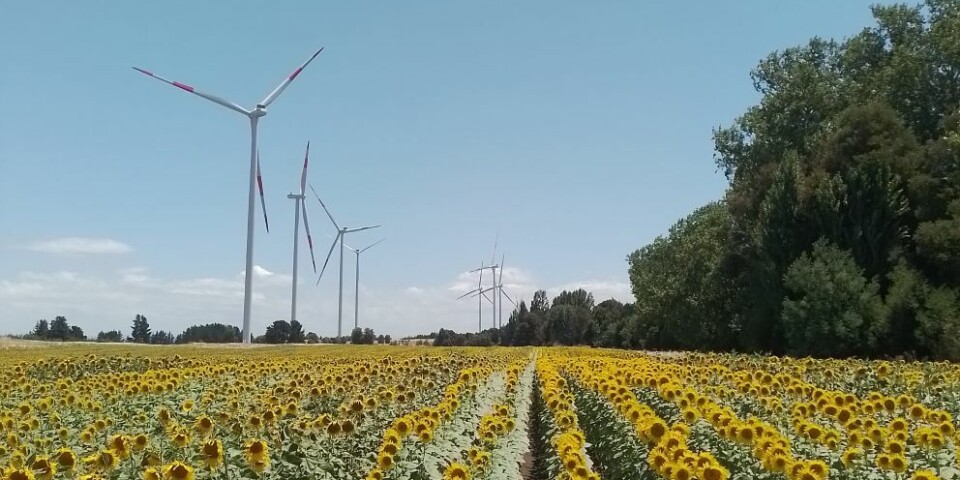 Presencia de energía eólica en la región la hace atractiva para inversiones de esta naturaleza.