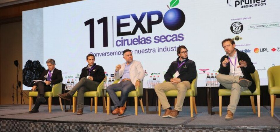 China sigue siendo el destino principal de las ciruelas secas con envíos de 18 mil toneladas.