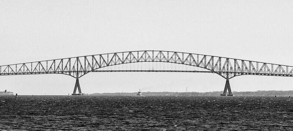 Cadena de suministro podría cortarse tras el colapso de puente en Baltimore