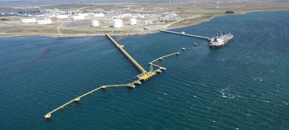 Enap adjudica la construcción de su primera planta de hidrógeno verde en Magallanes