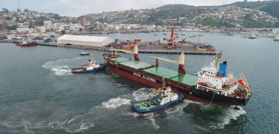Puerto de Talcahuano en plena operación.