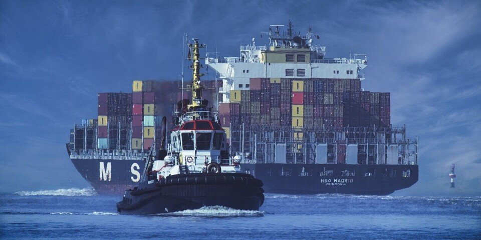 El mercado asiático fue el principal destino de las exportaciones durante el mes de marzo.