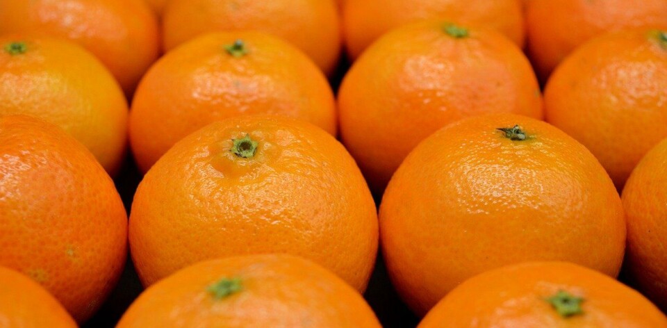 La baja de aranceles es clave para el sector exportador de frutas del país.