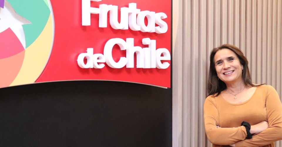 Julia Pinto, gerente técnico de Comité de Arándanos de Frutas de Chile.