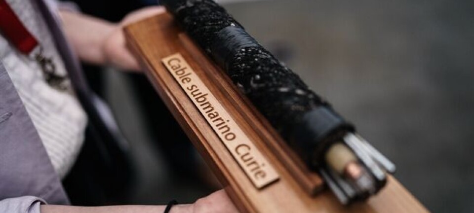 Proyecto Humboldt, una puerta digital para Chile hacia el Asia Pacífico