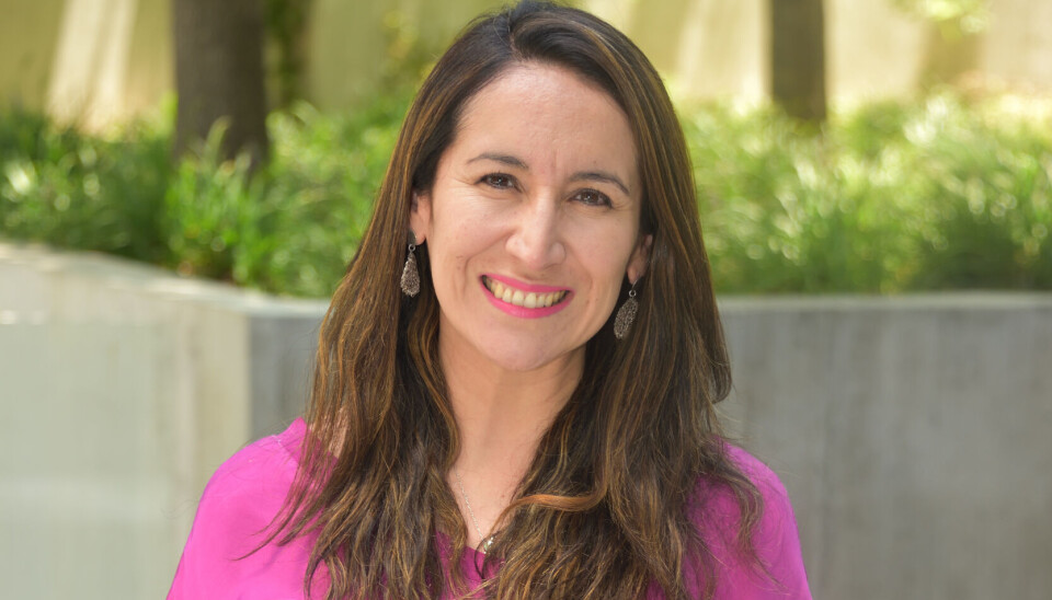 Natalia López, gerenta de infraestructura digital de Desarrollo País.