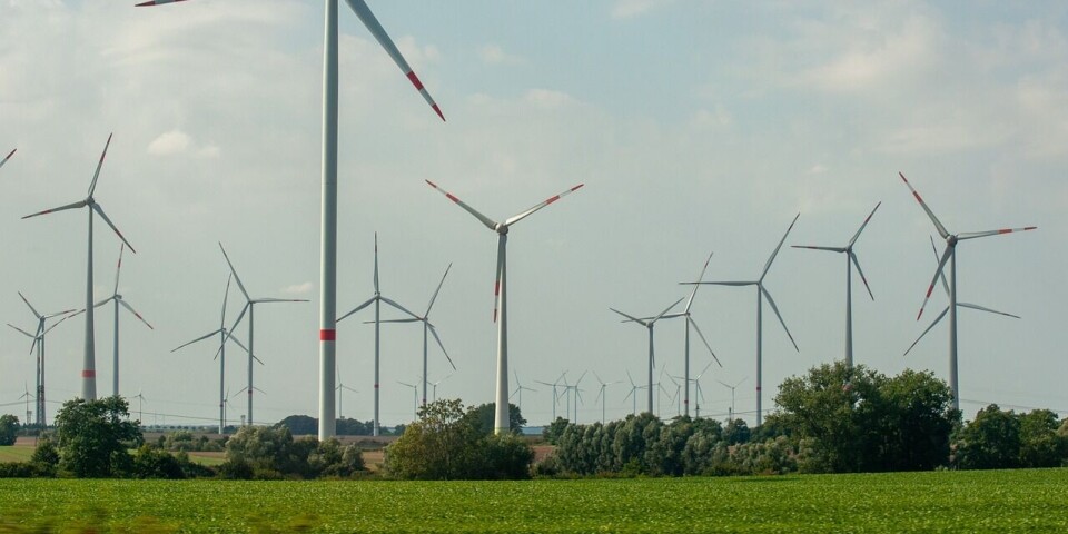 La energía eólica es clave en la generación del hidrógeno verde.