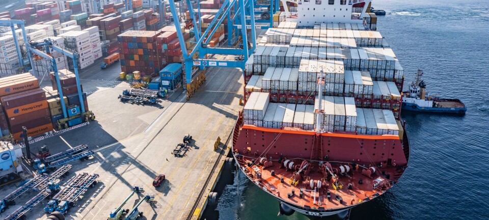 Fruta exportada en contenedores a través de TPS aumentó en un 7%
