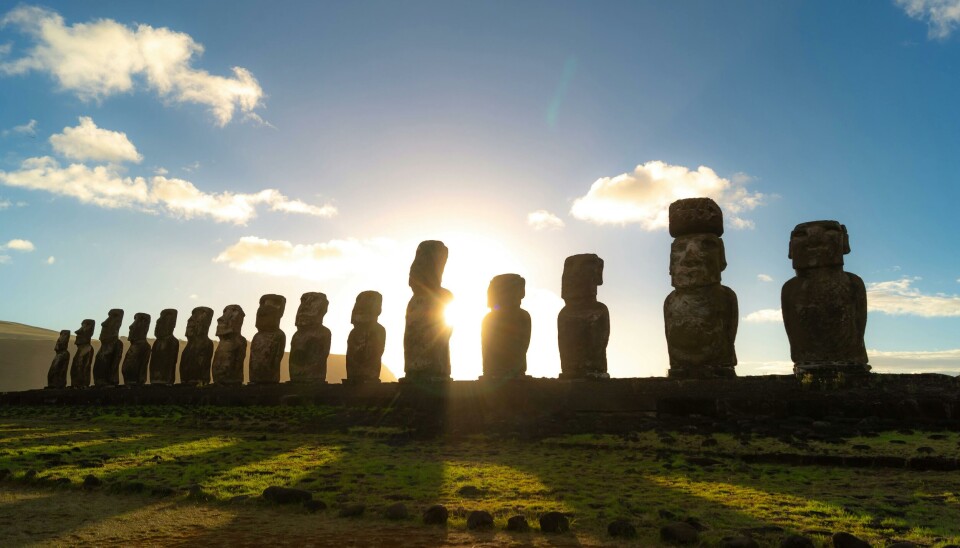 Rapa Nui también está comenzando a emprender en el rubro vitivinícola.
