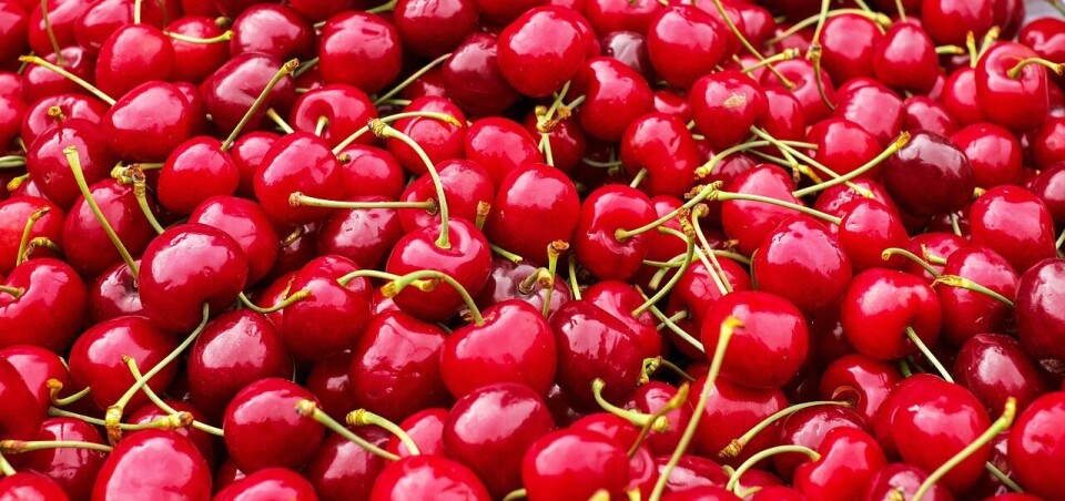 El mercado asiático es el más importante para la exportación de este tipo de frutas.