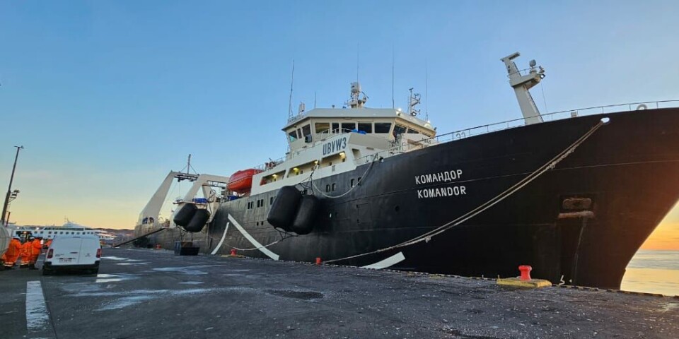 El buque descargó más de 1.200 toneladas en el terminal portuario de la Región de Magallanes.