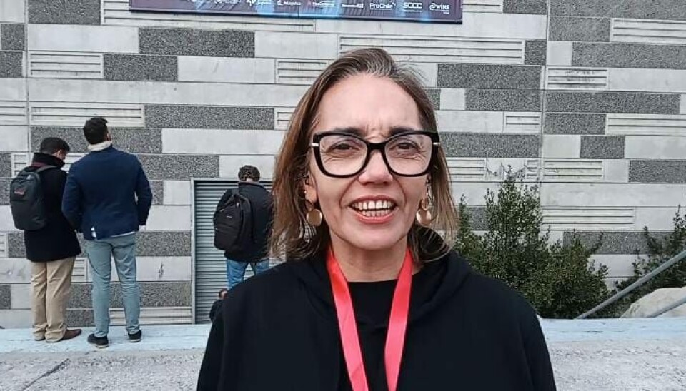 Paula Cortés, directora comercial Logistec.
