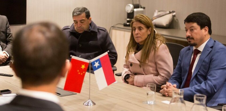 El mercado chino es uno de los más importantes para los exportadores de cerezas.