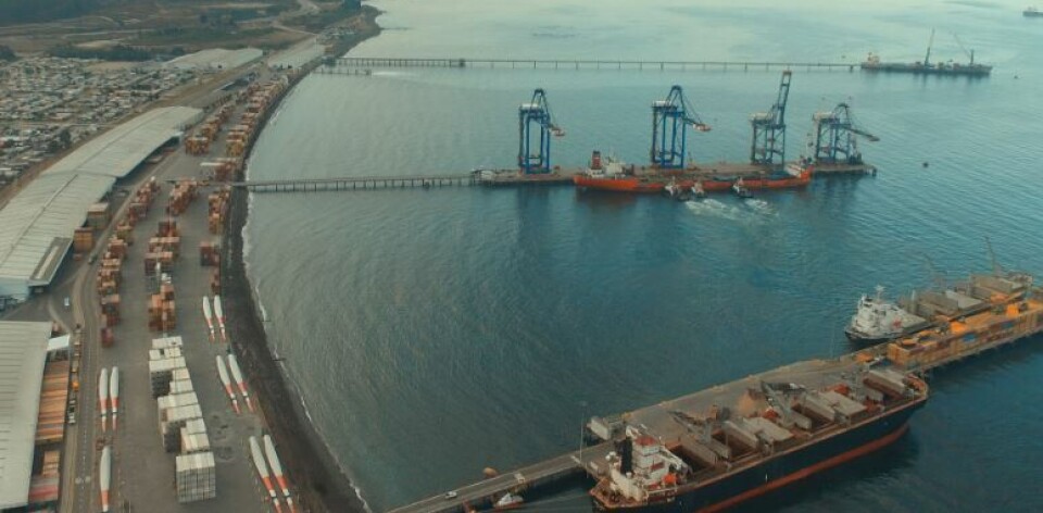 Millonarias pérdidas dejó la paralización del terminal portuario de la Octava Región.