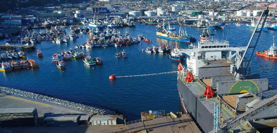El principal mercado para las exportaciones sigue siendo el asiático, seguido de Norteamérica.