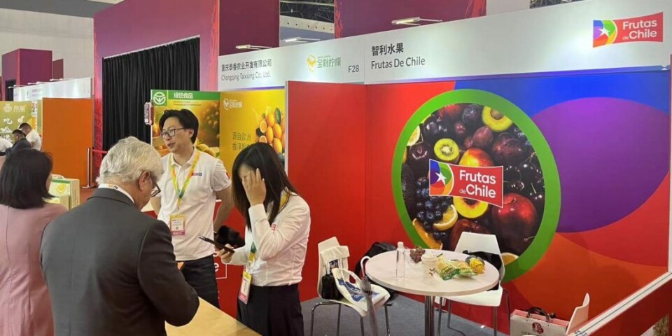 El mercado asiático es el más importante para los exportadores de frutas nacionales,