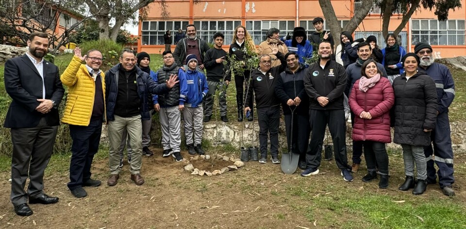 Alumnos del Liceo Diego Portales plantaron un árbol de quillay.