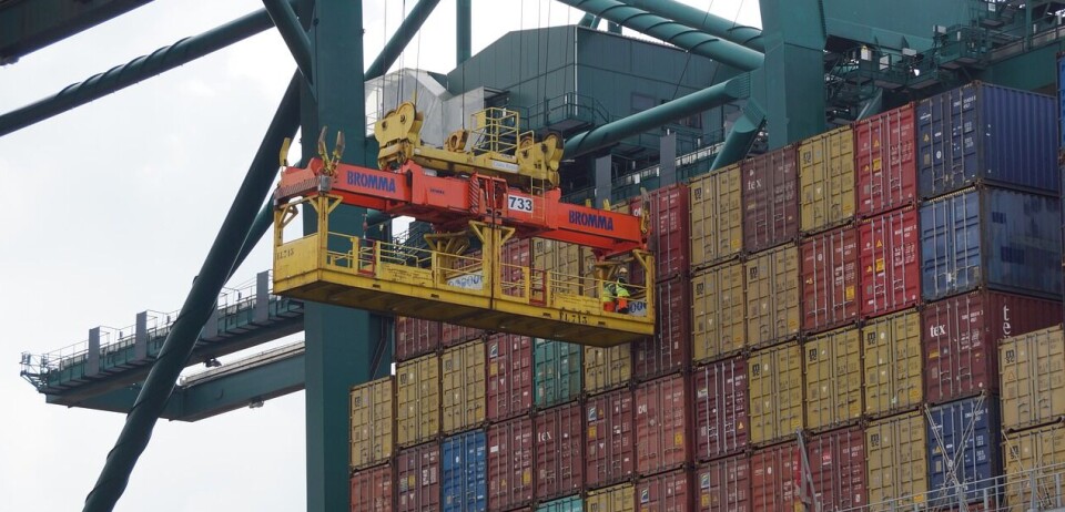 Informe de Odepa entregó cifras históricas para las exportaciones frutícolas.