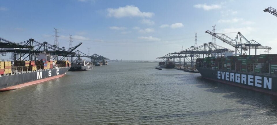 Informan del cierre en muelles del Puerto de Amberes por un derrame de petróleo