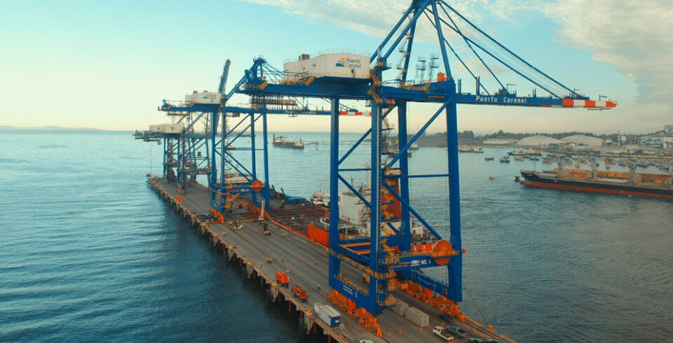 La IDC entregó su respaldo a los estibadores nacionales del terminal portuario de la región.