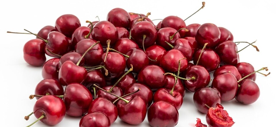 La necesidad de aplicar tratamientos de frío se debe a la cuarentena por la mosca de la fruta.