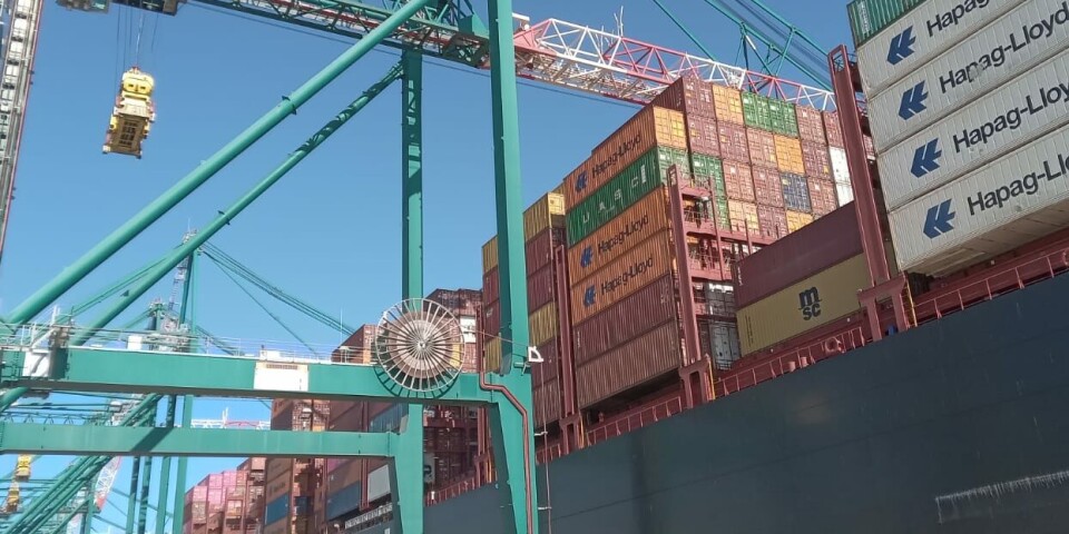 El gigante asiático recibe gran parte de las exportaciones nacionales.