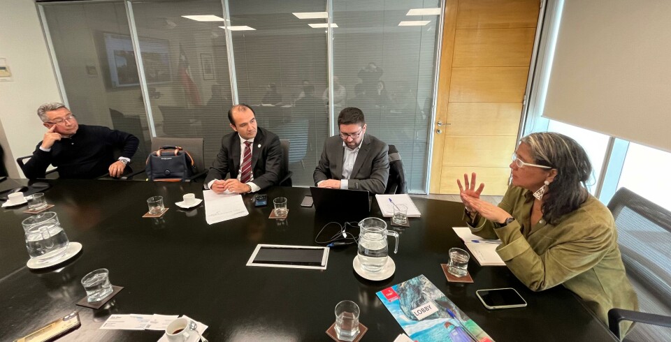 La directiva de la corporación en la reunión junto a la subsecretria de Turismo.