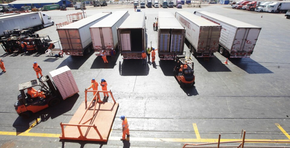 Trabajadores del puerto levantaron sus propias necesidades de capacitación laboral.