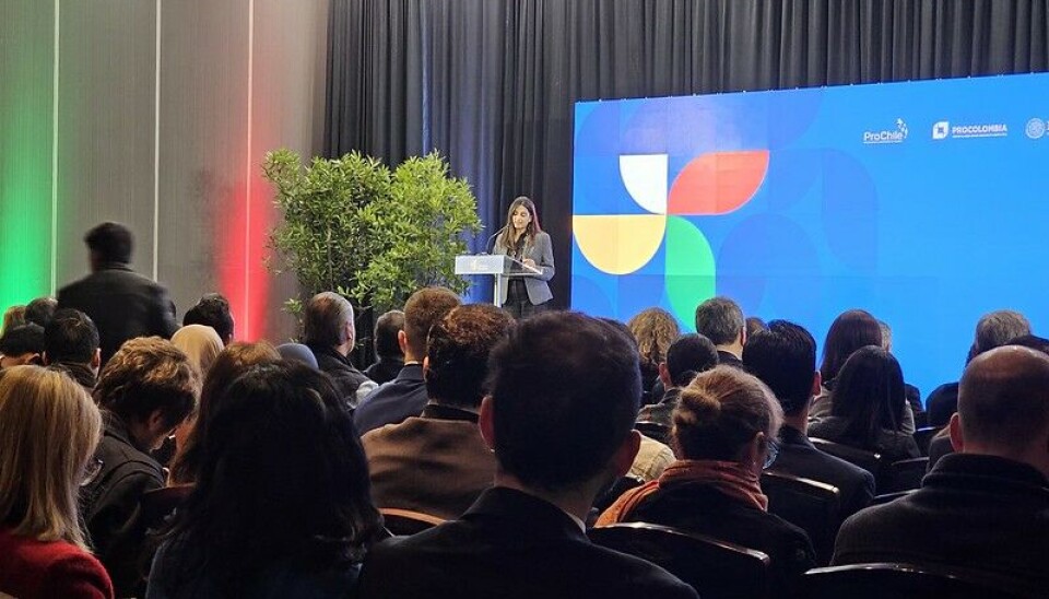 Claudia Sanhueza, subsecretaria de Relaciones Económicas Internacionales.