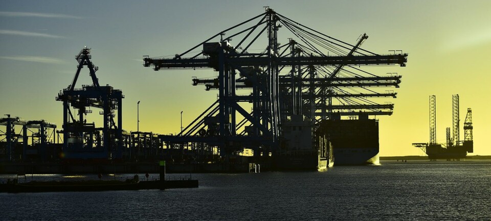 Puerto de Rotterdam registró 6,8 millones de TEU durante los primeros seis meses del año
