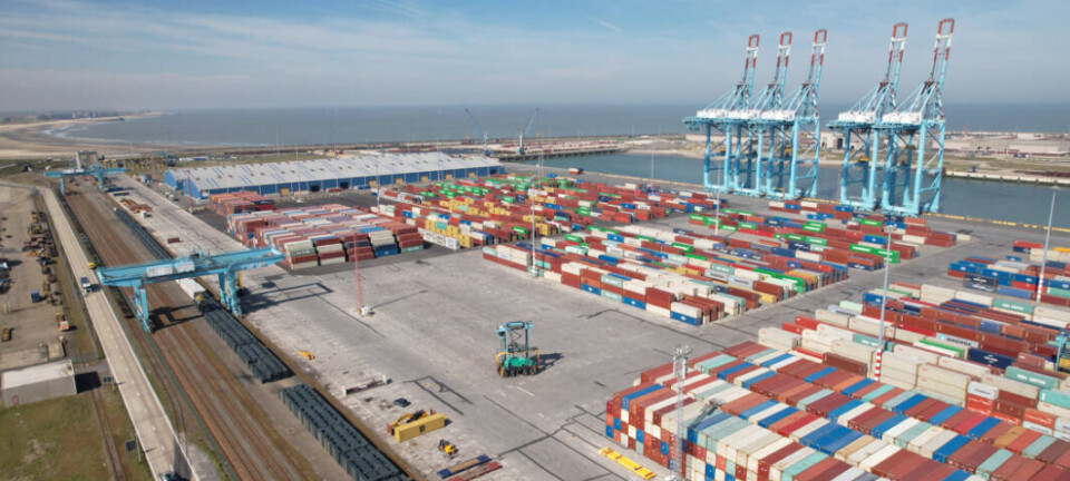 Puerto de Amberes-Brujas movilizó 143,2 millones de toneladas en el primer semestre