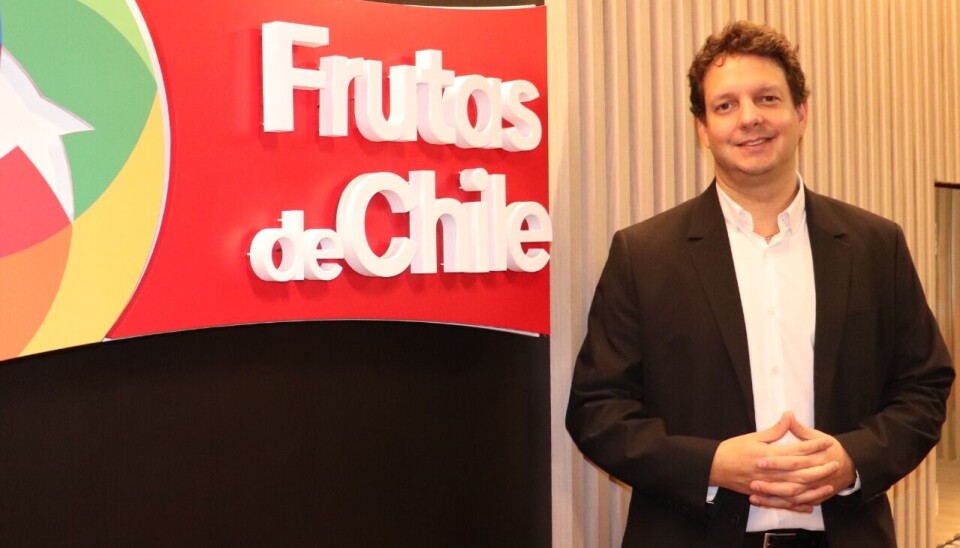 Ignacio Caballero, director ejecutivo del Comité de Carozos de Frutas de Chile.