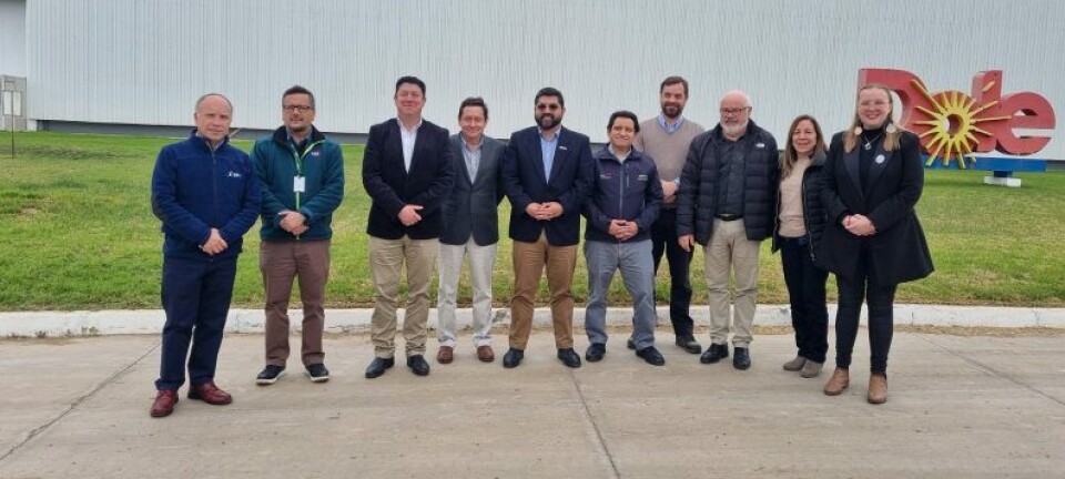 La fruta exportada a Estados Unidos se realizará bajo el protocolo que exime la fumigación.
