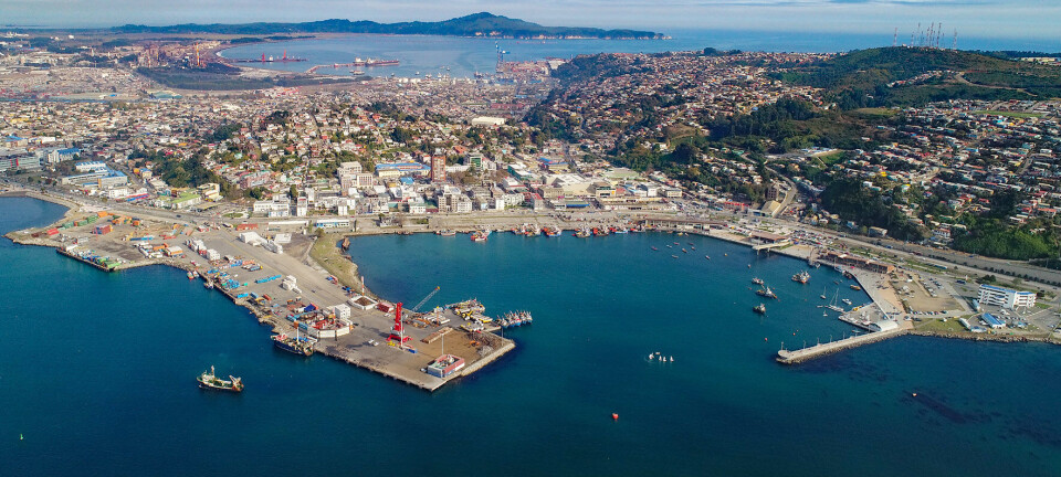 Puertos de la Región del Biobío movilizan 1,9 millones de toneladas de carga durante junio