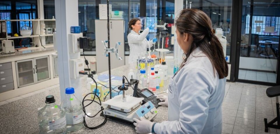 Clave en el análisis de la composición de las exportaciones en áreas tan sensibles como la minería.