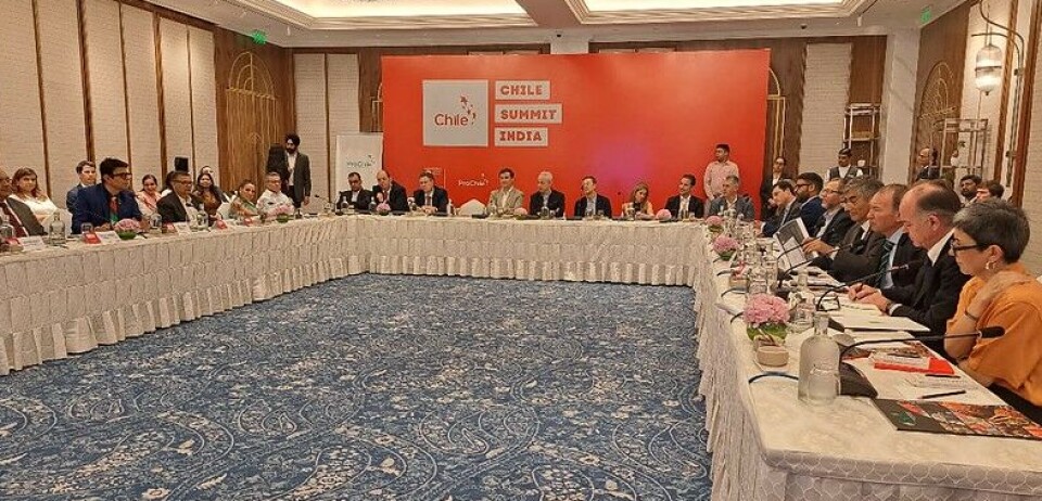 India es uno de los mercados emergentes más importantes para las exportadores nacionales.