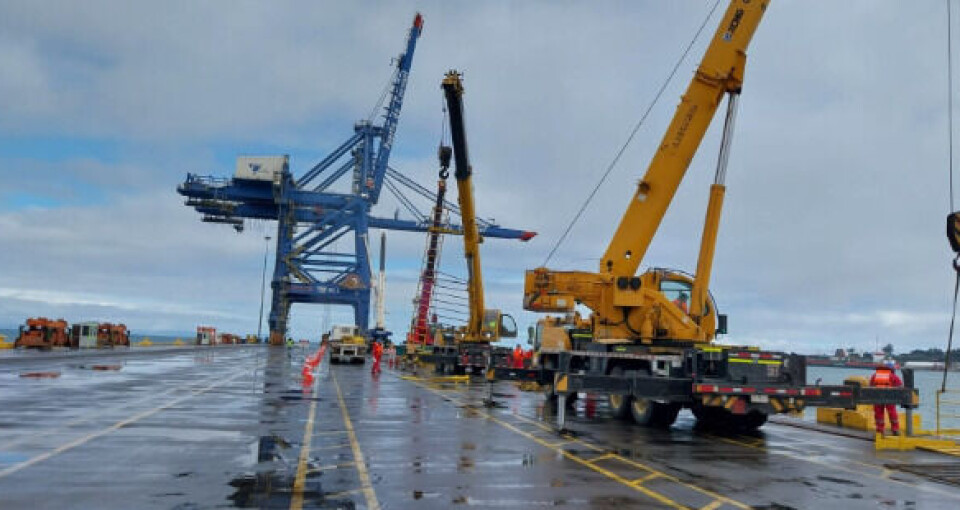 Los equipos del terminal en pleno trabajo de instalación de las defensas.