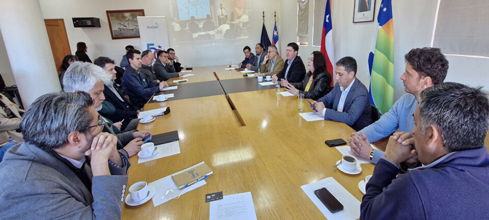 Destacaron la importancia de poder promover la industria del pisco en todos sus procesos.