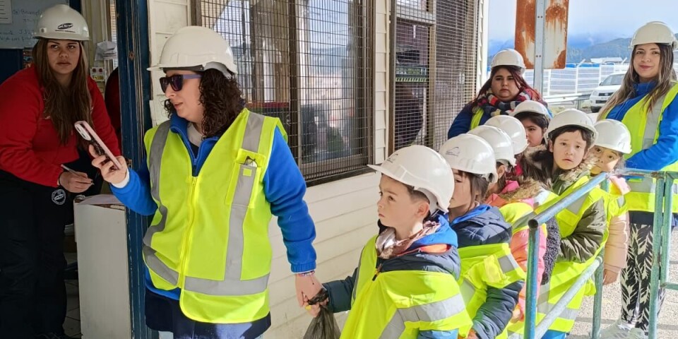 Los menores fueron equipados con elementos de protección personal.