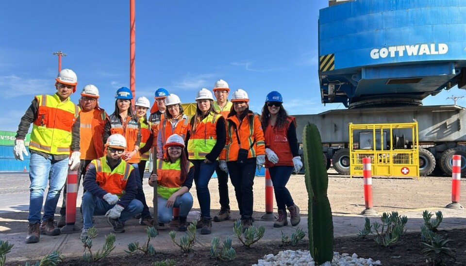 Trabajadores en uno de los jardines que plantaron en la zona operativa del terminal.